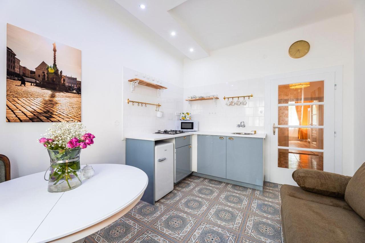 Silvie Apartments - Masaryk Dolni Olomouc Ngoại thất bức ảnh